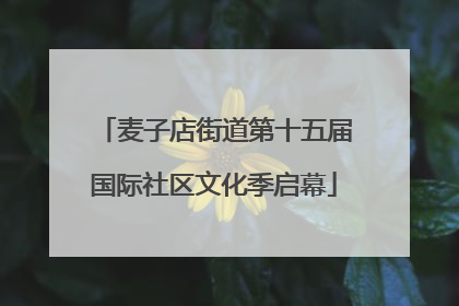 麦子店街道第十五届国际社区文化季启幕