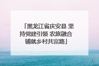 黑龙江省庆安县 坚持党建引领 农旅融合铺就乡村共富路