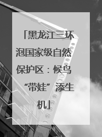 黑龙江三环泡国家级自然保护区：候鸟“带娃”添生机