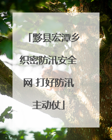 黟县宏潭乡织密防汛安全网 打好防汛主动仗
