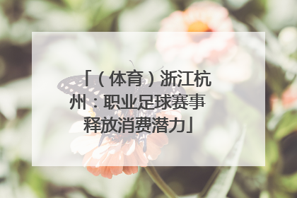 （体育）浙江杭州：职业足球赛事释放消费潜力