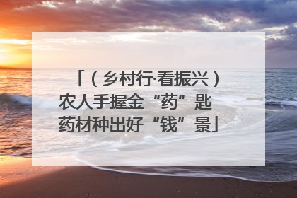 （乡村行·看振兴）农人手握金“药”匙 药材种出好“钱”景