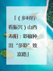 （乡村行·看振兴）山西寿阳：彩椒种出“多彩”致富路