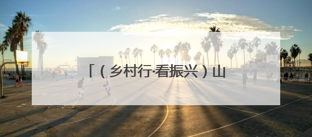 （乡村行·看振兴）山西高平：金银花里采“金银” 花香溢满致富路