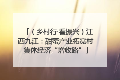（乡村行·看振兴）江西九江：甜蜜产业拓宽村集体经济“增收路”