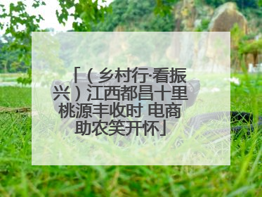 （乡村行·看振兴）江西都昌十里桃源丰收时 电商助农笑开怀
