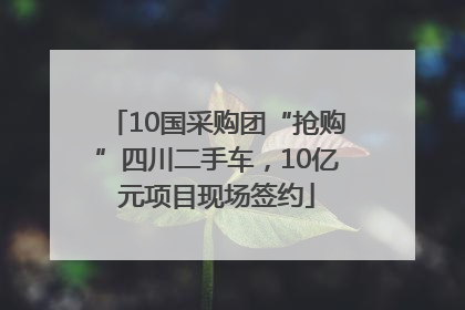 10国采购团“抢购”四川二手车，10亿元项目现场签约