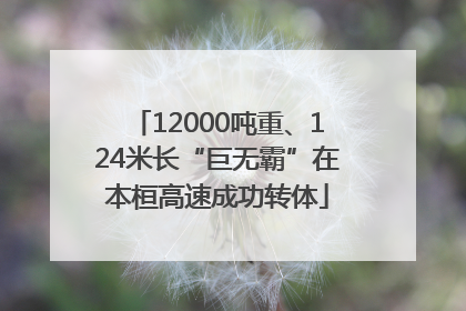 12000吨重、124米长“巨无霸”在本桓高速成功转体