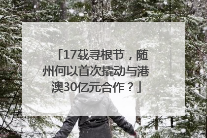 17载寻根节，随州何以首次撬动与港澳30亿元合作？