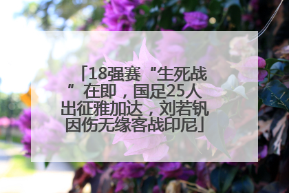 18强赛“生死战”在即，国足25人出征雅加达，刘若钒因伤无缘客战印尼