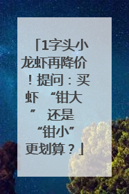 1字头小龙虾再降价！提问：买虾 “钳大” 还是 “钳小” 更划算？
