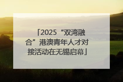 2025“双湾融合”港澳青年人才对接活动在无锡启幕