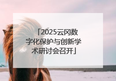 2025云冈数字化保护与创新学术研讨会召开