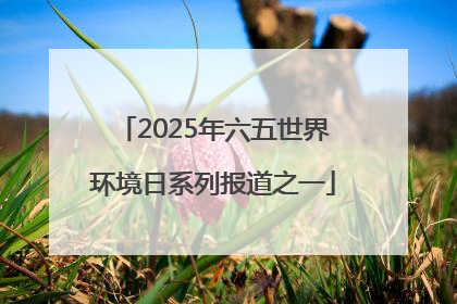2025年六五世界环境日系列报道之一