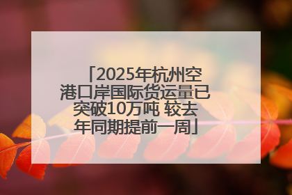 2025年杭州空港口岸国际货运量已突破10万吨 较去年同期提前一周