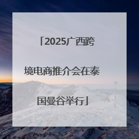 2025广西跨境电商推介会在泰国曼谷举行