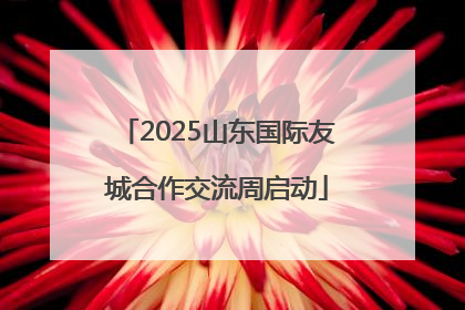 2025山东国际友城合作交流周启动