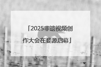 2025非遗视频创作大会在婺源启幕
