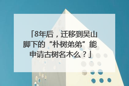8年后，迁移到吴山脚下的“朴树弟弟”能申请古树名木么？