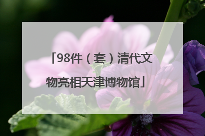 98件（套）清代文物亮相天津博物馆