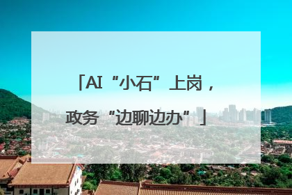 AI“小石”上岗，政务“边聊边办”