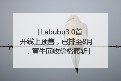 Labubu3.0首开线上预售，已排至8月，黄牛回收价格腰斩
