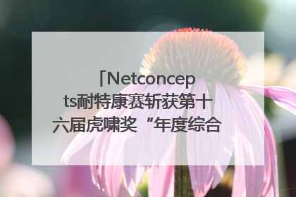 Netconcepts耐特康赛斩获第十六届虎啸奖“年度综合服务商”大奖