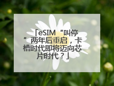 eSIM“叫停”两年后重启，卡槽时代即将迈向芯片时代？